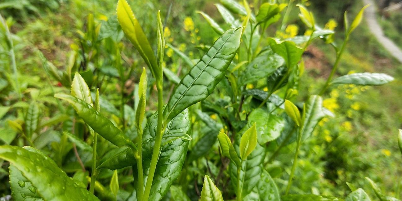 /Witty_Finance/get_goods_mes.do?goods_num=40